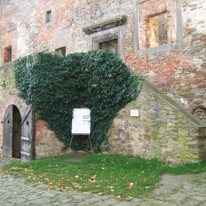 Lipnice nad Sázavou 2019. Schodiště z nádvoří do interiéru Trčkovského paláce  – současný stav. Pohled od S (foto P. Vitula).