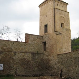 Obr. 83: Veveří - hrad 2008. Výstavba dřevěného schodiště do 1. patra prachové věže. Celková situace sondy pod prachovou věží – pohled od SZ (foto P. Vitula).