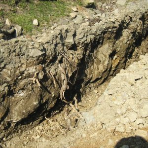 Obr. 108: Veveří – hrad 2015. Vodovod. Výkopy pro vodovodní potrubí před ovčínem s odkrytými výchozy skalního podloží – pohled od JZ (foto P. Vitula).
