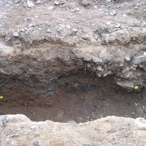 Obr. 148: Veveří – hrad 2017/01. Kanalizace. Profil výkopu s černošedou raně středověkou vrstvou (1. pol. 13. stol.) a reliktem kamenné středověké zídky – pohled od SV (foto P. Vitula).