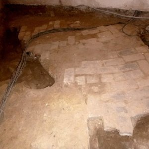 Obr. 168: Veveří – hrad 2017/02. Pokladna. Relikt novověké cihlami dlážděné podlahy v SZ části interiéru budoucí pokladny – detail od JV (foto P. Vitula)