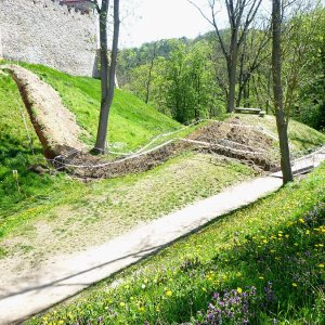 Obr. 225: Veveří – hrad 2021. Páteřní rozvody elektřiny. Průběh výkopu příkopem za hradbou JZ části přihrádku – pohled od SZ (foto P. Vitula).
