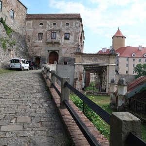 Obr. 237: Veveří – hrad 2022. Jižní brána a skleníky – zjišťovací sondáž č. 2 – celkový pohled od JZ (foto P. Vitula).
