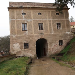 Obr. 245: Veveří – hrad 2023. Severovýchodní průčelí jižní brány – zjišťovací sondáž č. 3. Severovýchodní průčelí jižní brány – celkový pohled od SV (foto P. Vitula).