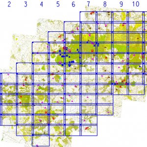 Ždánický les 2018. Klad přizpůsobených mapových listů odvozených od Základní mapy 1:10 000.