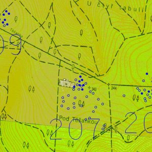 Ždánický les 2018. 207 - Bošovice 1 (okr. Vyškov) - trať U dvou závor, Pod Těšankou - mohylové pohřebiště - střední doba bronzová, starší doba železná; 208 - Bošovice 2 (okr. Vyškov) - trať U čtyř tabulí, Pod Těšankou - mohylové pohřebiště - střední doba bronzová, starší doba železná; 209 - Bošovice 3 (okr. Vyškov) - trať Křesťanov - mohylové pohřebiště - dosud blíže nedatováno. Schematické zaměření jednotlivých mohyl (modrá barva) pomocí GPS na podkladu ZM 1:10 000. Druhotně porušené násypy mohyl jsou modře vybarvené.  dosud blíže nedatováno