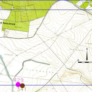 Ždánický les 2018. Mapový list 12-4. 314 - Velké Pavlovice 1 (okr. Břeclav) - trať Trkmanská - tvrz Trutmanice nedochovaná doložená archeologickým výzkumem - středověk; 429 - Velké Pavlovice 2 (okr. Břeclav) - trať Trkmanská - zaniklá vesnice Trutmanice doložená archeologickým výzkumem - středověk. 